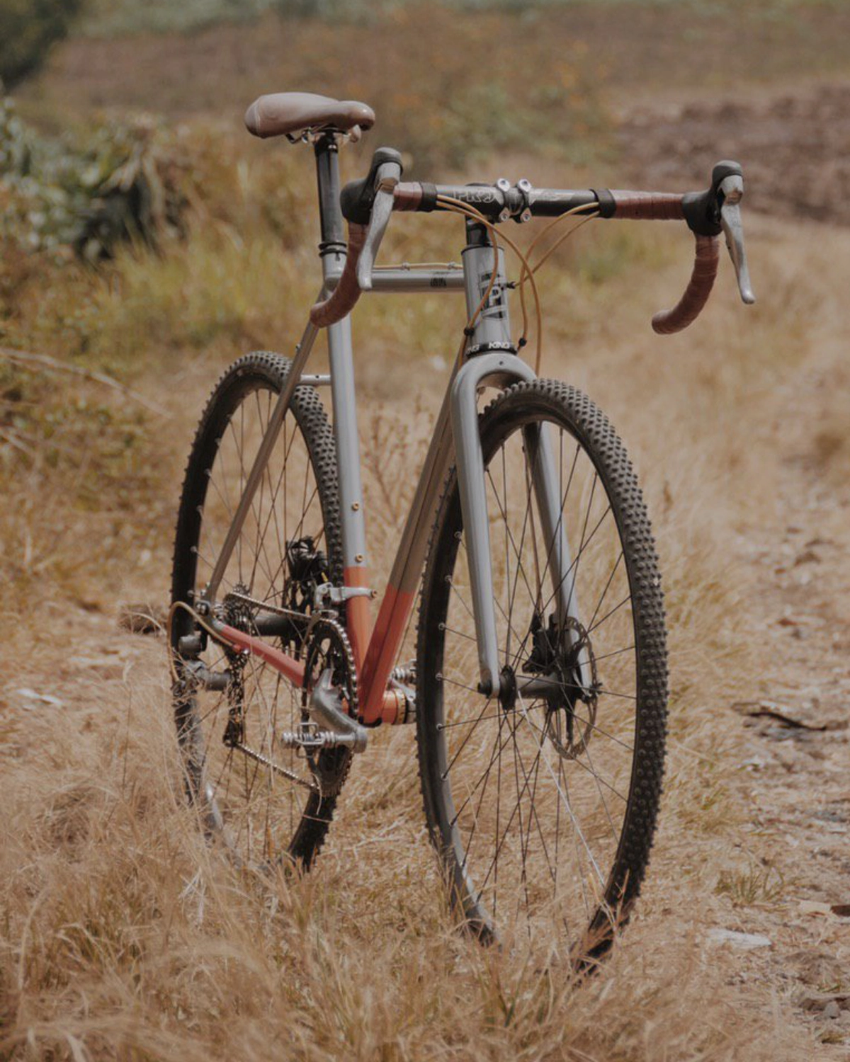 Scarab frame detail